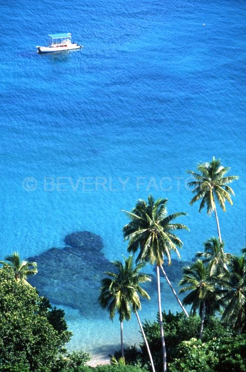 Island;fiji;palm trees;blue waterl birds eye view;blue;boat